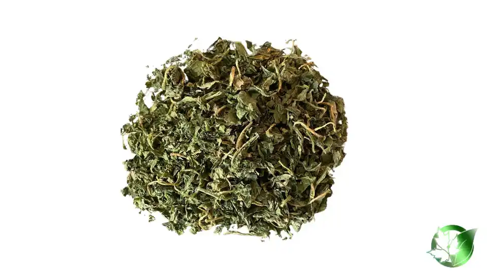 Bulk Dried Spinach | Suppliers | Wholesale | ParsaFood Global